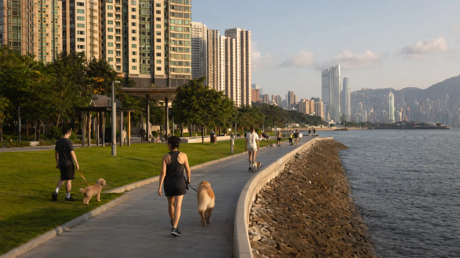 用於室內活動規劃文章的香港海港氣氛照