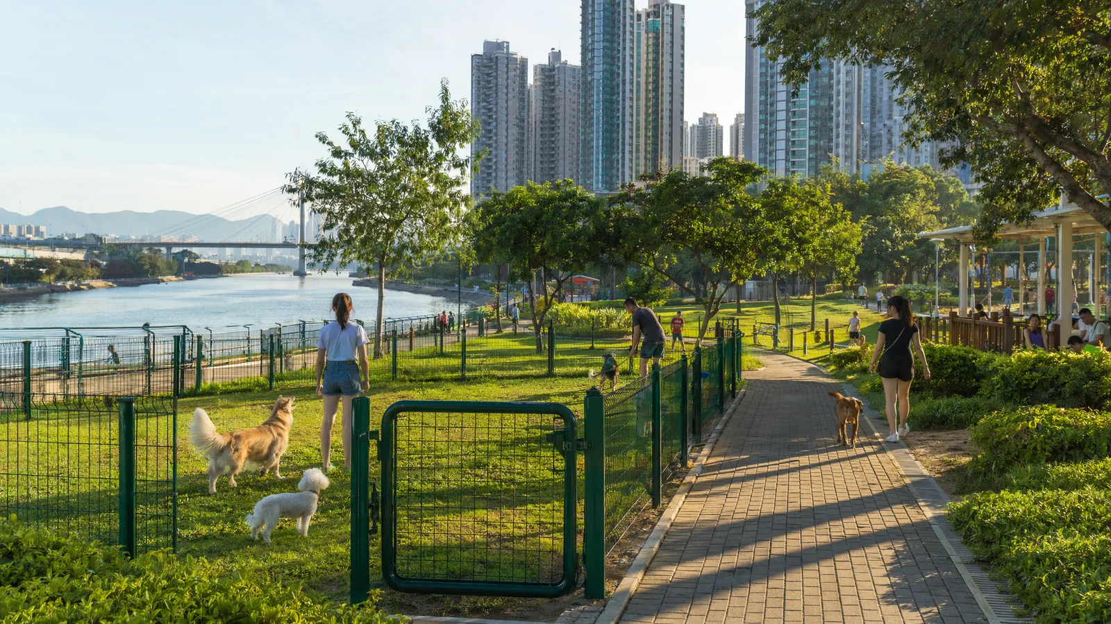 荃灣區內公園,LAP 狗隻領養中心位於 Allway Garden